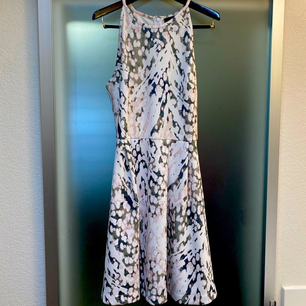 Woman’s Spring or Summer Dress